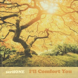 I'll Comfort You