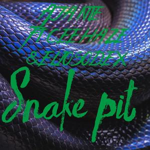 Snake pit (feat. CeeHaze & Eliosodex) [Explicit]