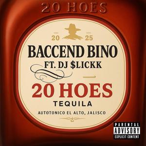 20 Hoes (feat. Dj $lickk|Explicit)