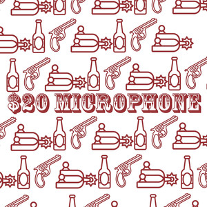 $20 Microphone