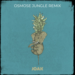 Osmose Jungle (Remix)