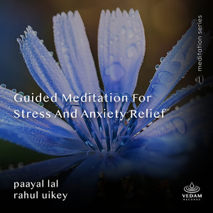 Guided Meditation for Stress and Anxiety Relief