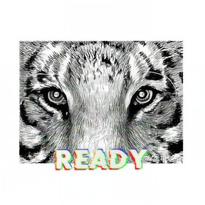 Ready