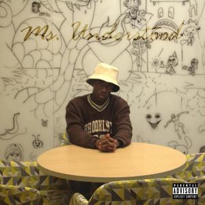 Ms. Understood (Explicit)