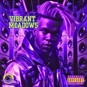 Vibrant Meadows (Explicit)