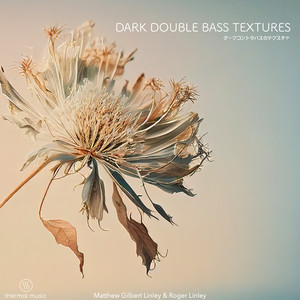 Dark Double Bass Textures