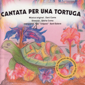 Cantata Per Una Tortuga