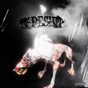 P typeshit (Explicit)