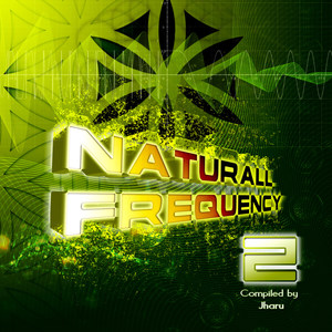 Naturall Frequency 2