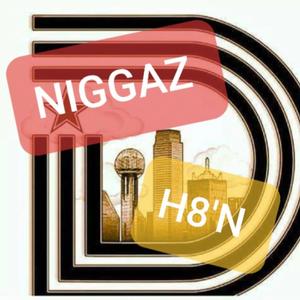 Niggaz H8'n(feat. Pint P. & Rizod) (Explicit)