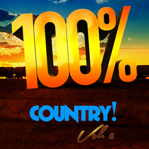 100% Country, Vol. 2