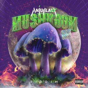 Mushroom Riddim (Explicit)