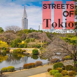 Streets Of - Tokio, Vol. 2 (Okonomiyaki For The Belly, Deep House For The Soul)