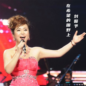 在希望的田野上