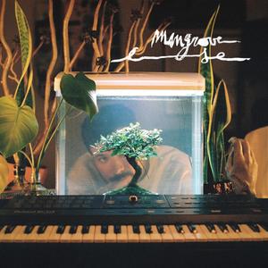 Mangrove (Explicit)