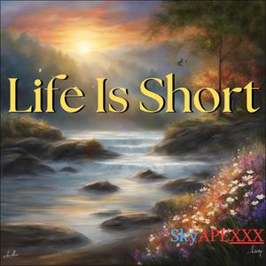 Life Is Short