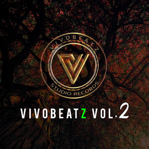 VIVOBEATZ Vol. 2 (Explicit)