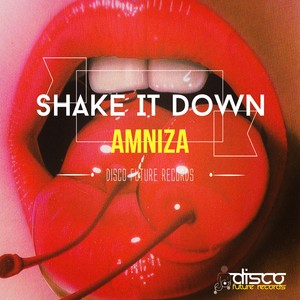 Shake It Down (Original Mix)