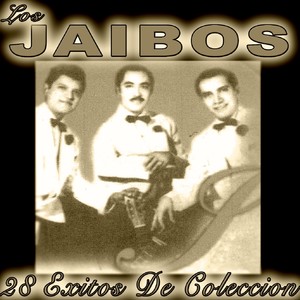 28 Exitos de Coleccion