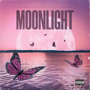 Moonlight (feat. J Laurent) [Explicit]