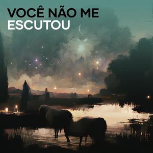 Você Não Me Escutou (Explicit)