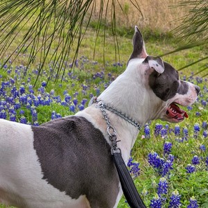 Sitting at a light in Arkansas (Demo Version)