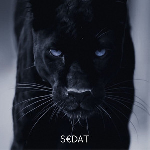 Adana Merkez (Explicit)