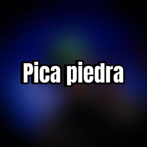 Pica Piedra