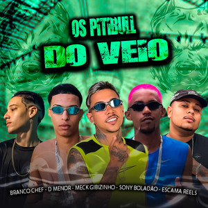 Os Pitibull do Veio (Explicit)