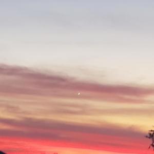 Can't Get my Head Around