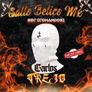 CARLOS TREJO (feat. 22C [Comandos]) [Explicit]