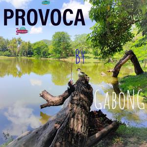 Provoca