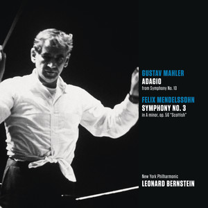 Symphony No. 10 in F-Sharp Minor - I. Adagio (2008 Remastered)