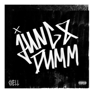 JUNG & DUMM (Explicit)