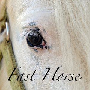 Fast Horse