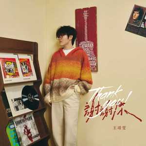 王靖雯 - 谢谢你