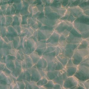 Y INTERLUDE (Explicit)