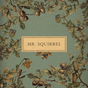 Mr. Squirrel