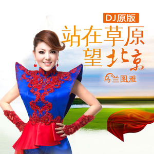 站在草原望北京 (DJ版)封面