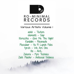 Various Artists, Vol. 1 (First Release, a ** Compilation from Our Facebook Group "Ro-minimal")