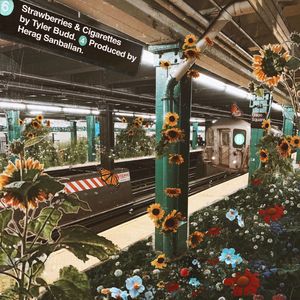 Strawberries & Cigarettes