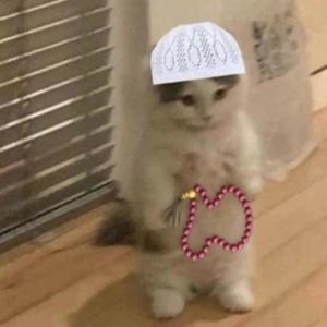 Masyaallah Stay Halal Brother