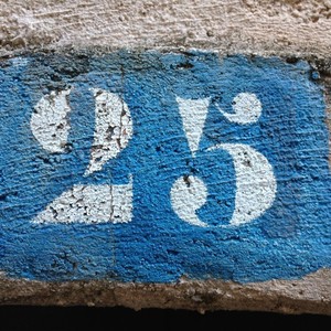 25