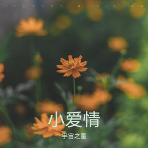 小爱情封面