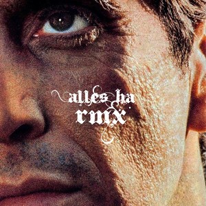 Alles ha (Remix)