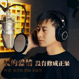 我的爱情没有修成正果 (DJ版)