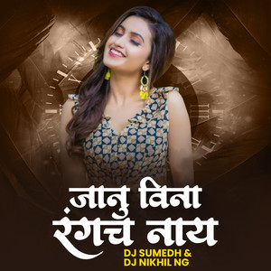 Janu Vina Rangach Naay (DJ Remix)