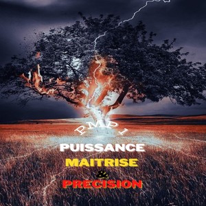 PMP, Vol. 1: Puissance Maitrise & Précision