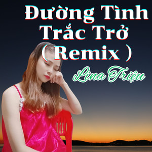 Đường Tình Trắc Trở (Remix)