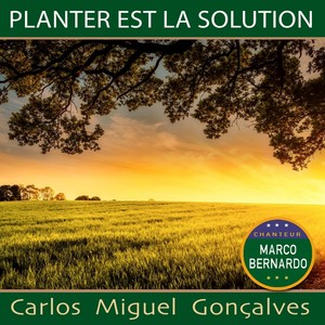 Planter est la solution